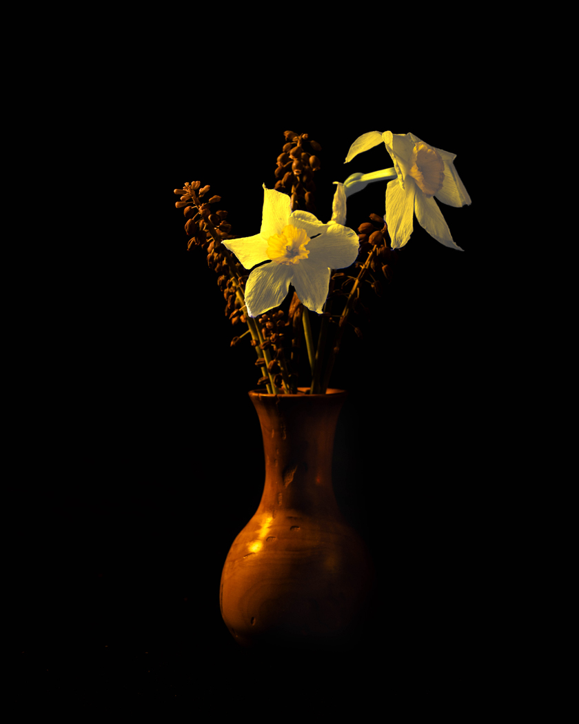 Quiet Bloom